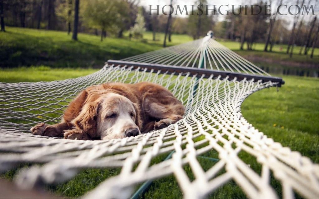 how to make a comfortable bed without a mattress_Hammock