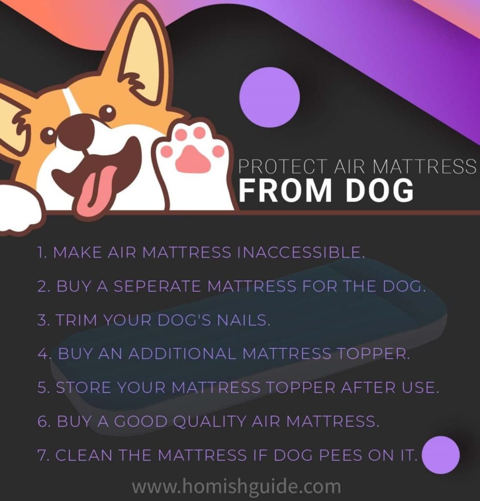 How To Protect Air Mattress From Dog_Infographics2