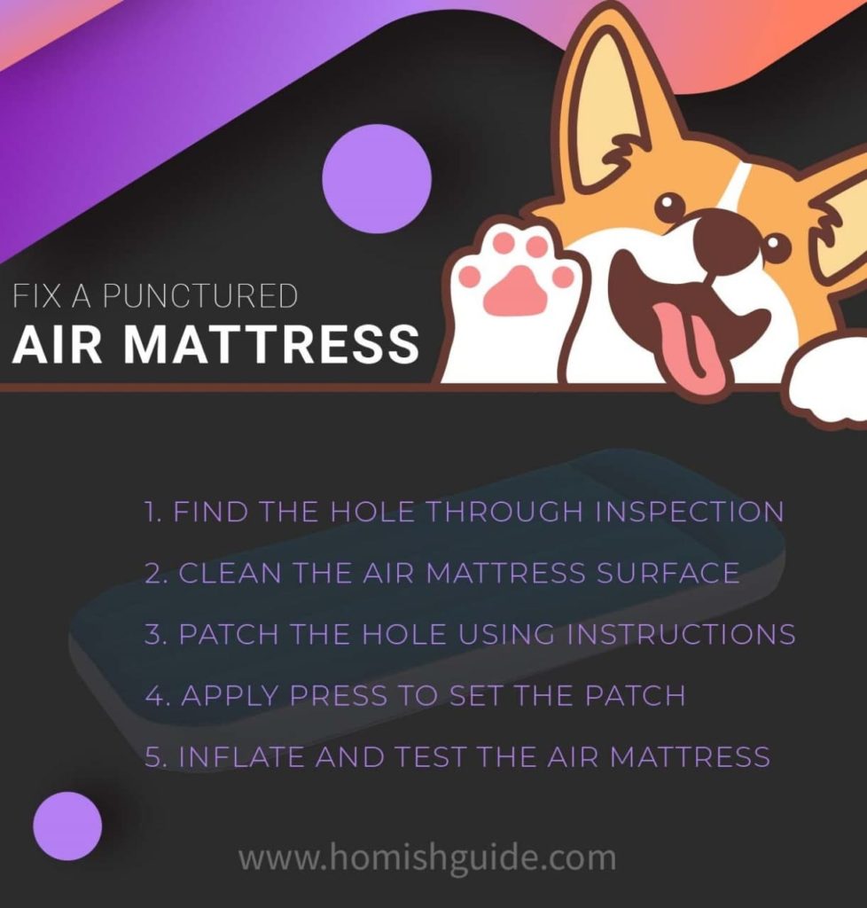 How To Protect Air Mattress From Dog_Infographics3