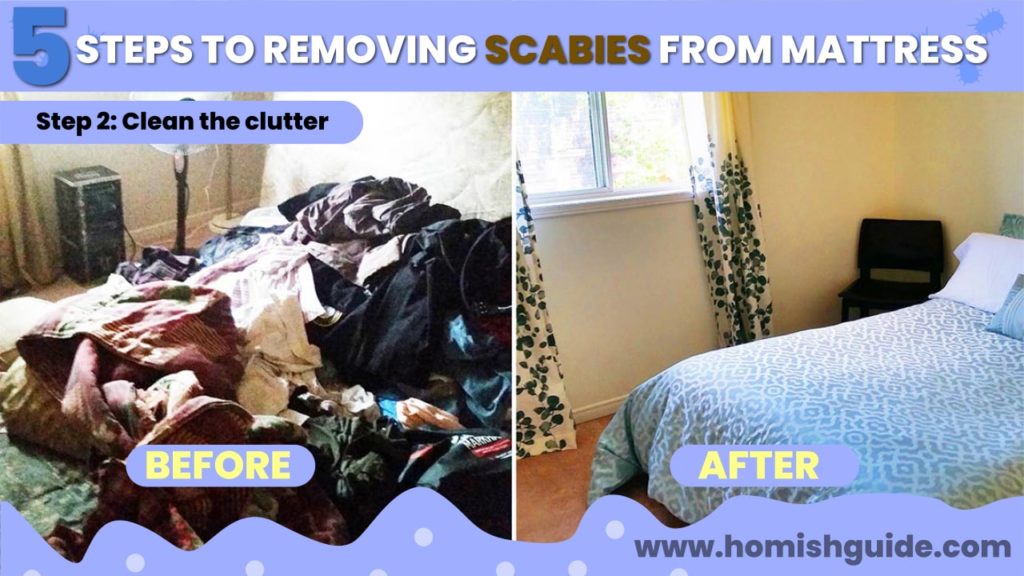 How Long Can Scabies Live In A Mattress _ Clutter