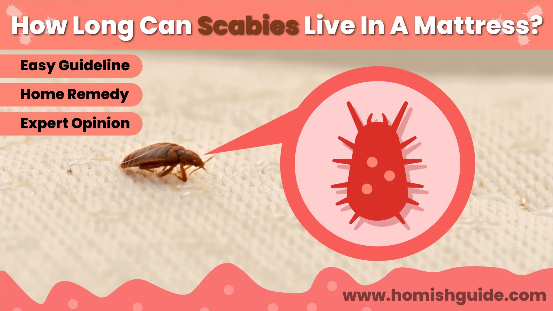 How Long Can Scabies Live In A Mattress _ Feature Image