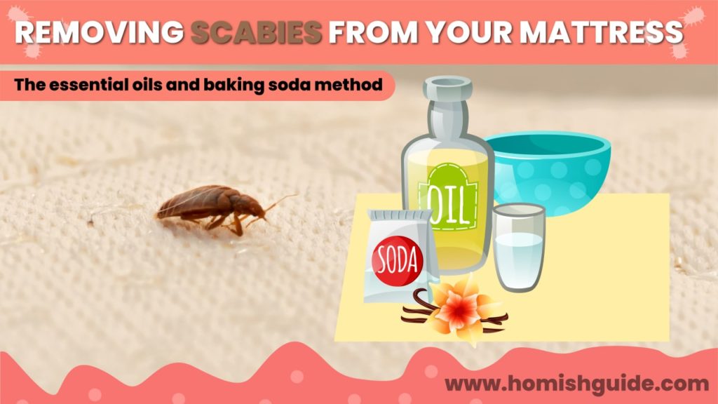 How Long Can Scabies Live In A Mattress _ Oil & Baking Soda