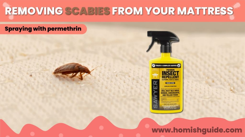 How Long Can Scabies Live In A Mattress _ Permethrin Spray