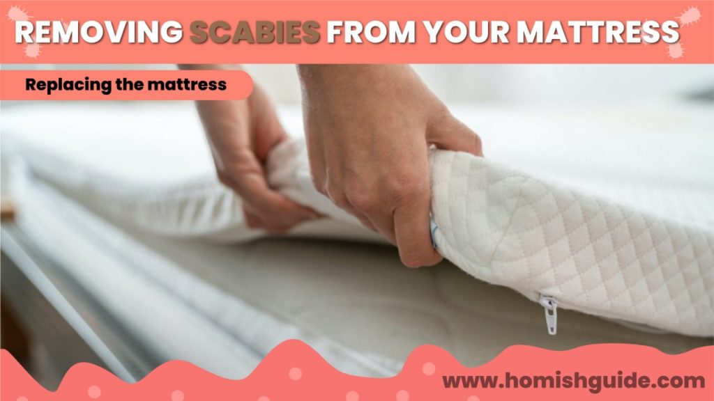 How Long Can Scabies Live In A Mattress _ Replace Mattress