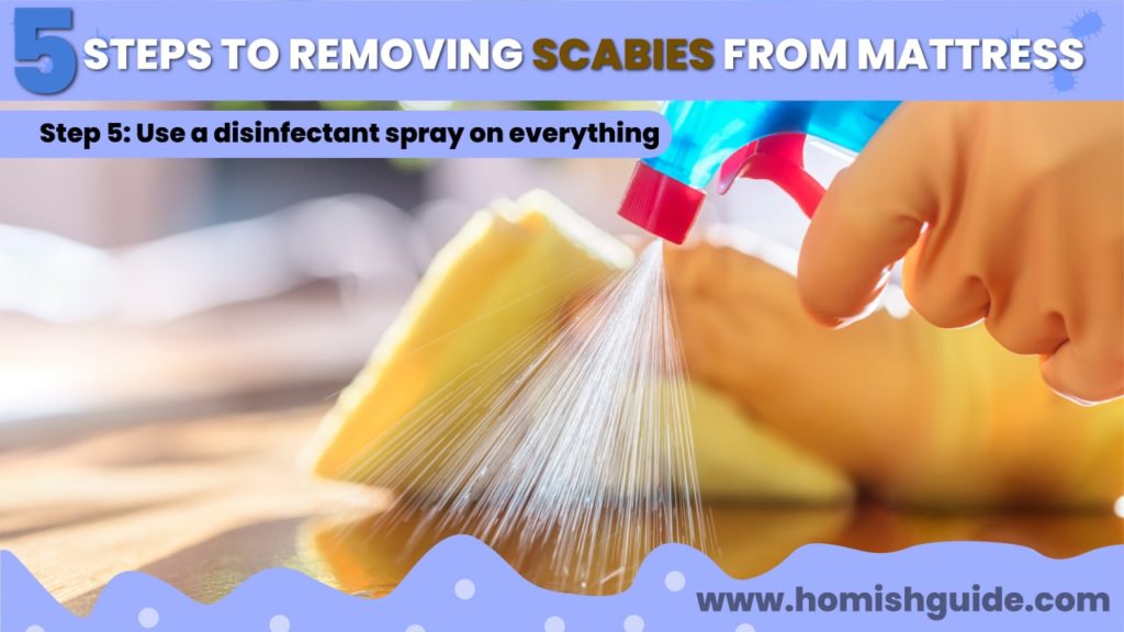 How Long Can Scabies Live In A Mattress _ Spray