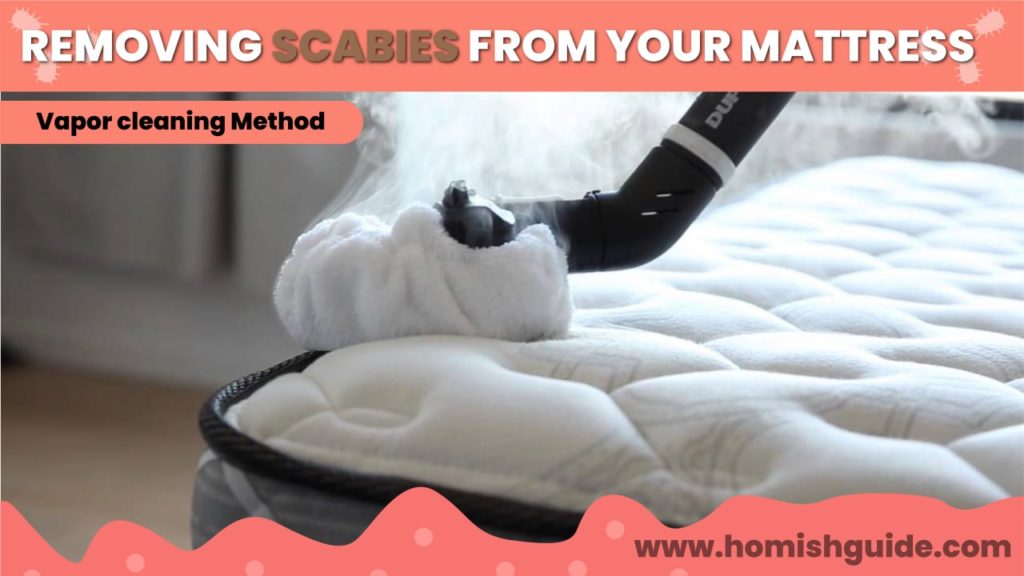 How Long Can Scabies Live In A Mattress _ Vapor Cleaning