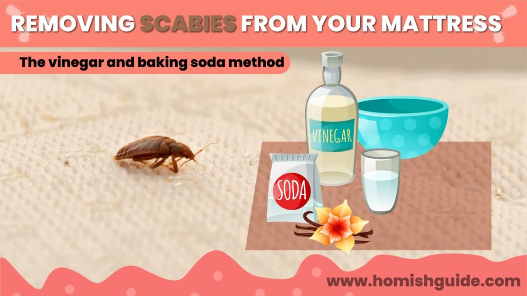 How Long Can Scabies Live In A Mattress _ Vinegar & Baking Soda